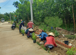 Tuyến đường hoa tự quản tại tổ 8 (làng...